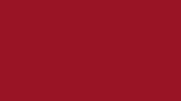 RAL 3002 Carmin Red Polyester Fine Texture matt