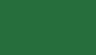 RAL 6001 Smaragdgrün Polyester Glatt Matt