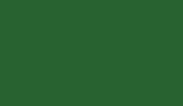 RAL 6002 Leaf Green Polyester Rough Texture Glossy