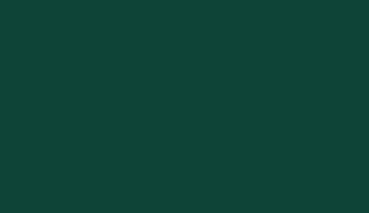 RAL 6005 Moss Green Polyester Rough Texture Glossy