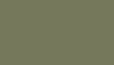 RAL 6013 Reed Green Polyester Rough Texture Glossy