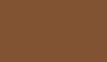 RAL 8003 Clay Brown Polyester Smooth and Glossy (Tribo)