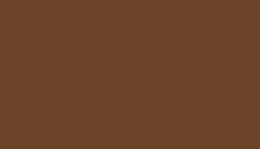 RAL 8007 Fawn Brown Polyester Smooth and Glossy (Tribo)